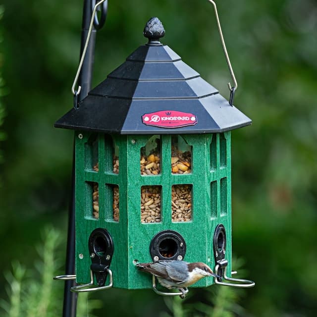 Kingsyard Wild Bird Feeder for Outside Hanging