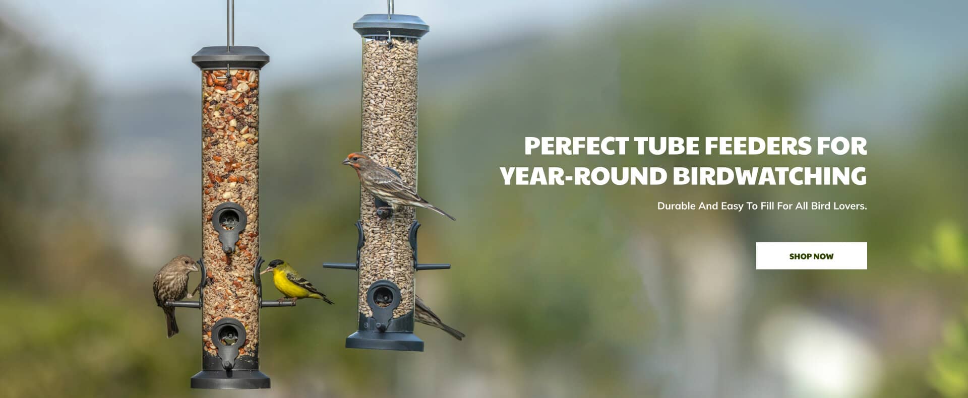 Perfect Tube Feeders for Birds