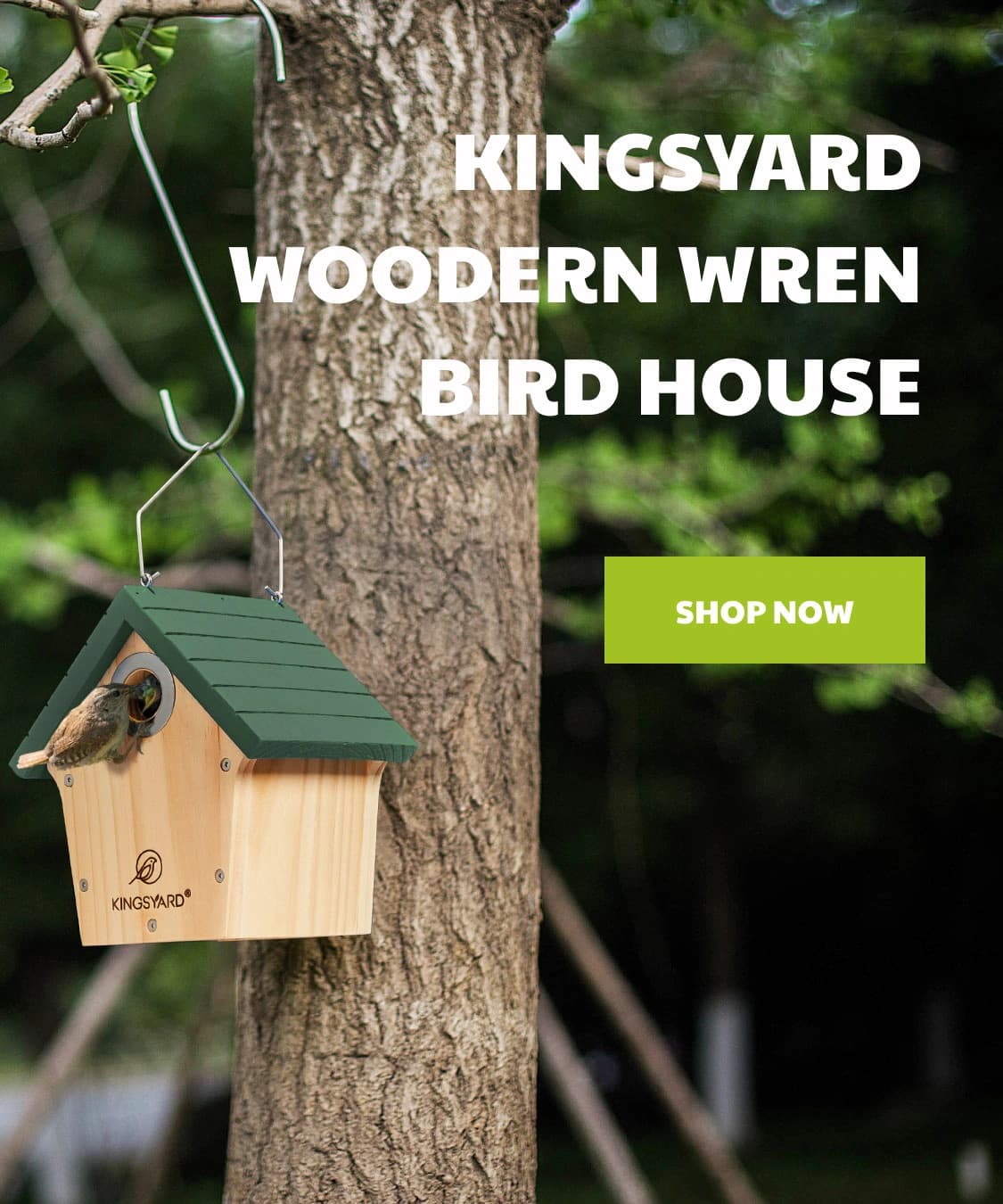 Wild Bird Feeder Shop