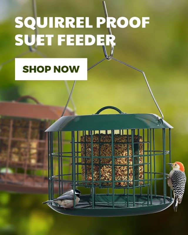 bird feeder hooks, bird feeder hooks Suppliers and Manufacturers