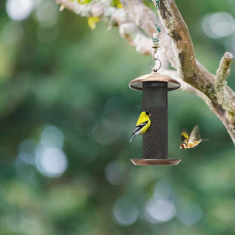 Kingsyard Metal Mesh Tube Finch Bird Feeder