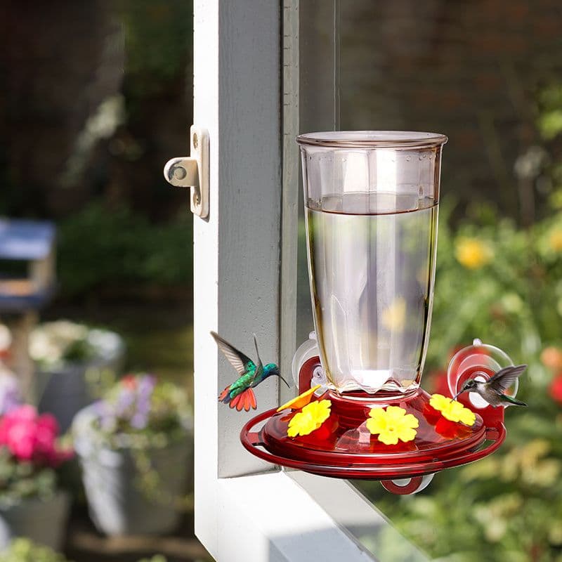 Kingsyard Window Hummingbird Feeder with 4 Feeding Ports