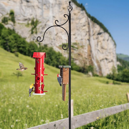 Kingsyard 60-Inch Outdoor Shepherds Hooks 1 Kingsyard 60-Inch Outdoor Shepherds Hooks 1