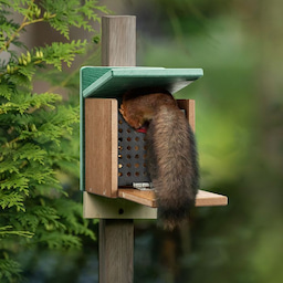 Kingsyard Recycled Plastic Squirrel Feeder 4 Kingsyard Recycled Plastic Squirrel Feeder 4