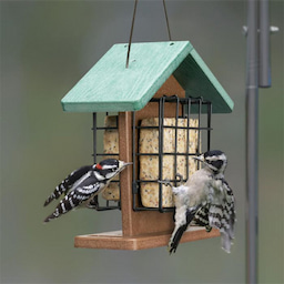 Kingsyard Recycled Plastic Suet Bird Feeders 5 Kingsyard Recycled Plastic Suet Bird Feeders 5