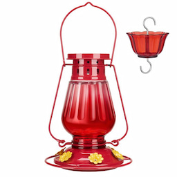 Kingsyard Lamp-shaped Glass Hummingbird Feeder 2 Kingsyard Lamp-shaped Glass Hummingbird Feeder 2