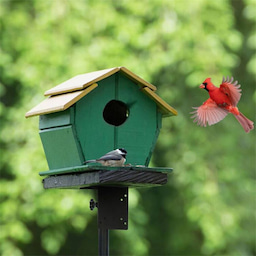 Kingsyard 80-Inch Smart Bird Feeder Mounting Pole 1 Kingsyard 80-Inch Smart Bird Feeder Mounting Pole 1