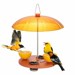 Kingsyard Oriole Bird Feeders with Protective Dome 2 Kingsyard Oriole Bird Feeders with Protective Dome 2