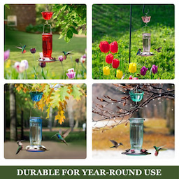 Kingsyard 16oz Glass Hummingbird Feeder With Ant Moat 7 Kingsyard 16oz Glass Hummingbird Feeder With Ant Moat 7