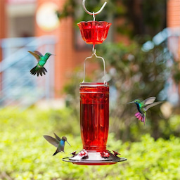 Kingsyard 16oz Glass Hummingbird Feeder With Ant Moat 1 Kingsyard 16oz Glass Hummingbird Feeder With Ant Moat 1