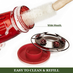 Kingsyard 16oz Glass Hummingbird Feeder With Ant Moat 5 Kingsyard 16oz Glass Hummingbird Feeder With Ant Moat 5