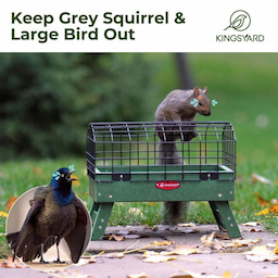 Kingsyard Squirrel Proof Caged Ground Bird Feeder 7 Kingsyard Squirrel Proof Caged Ground Bird Feeder 7