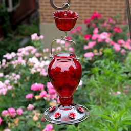 Kingsyard 24oz Leak Proof Glass Hummingbird Feeder with Ant Moat 1 Kingsyard 24oz Leak Proof Glass Hummingbird Feeder with Ant Moat 1