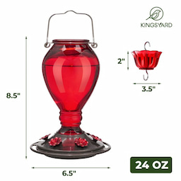 Kingsyard 24oz Leak Proof Glass Hummingbird Feeder with Ant Moat 3 Kingsyard 24oz Leak Proof Glass Hummingbird Feeder with Ant Moat 3