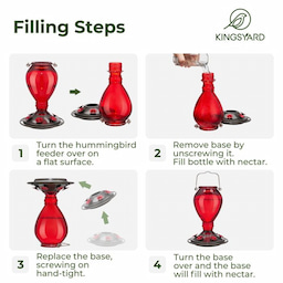 Kingsyard 24oz Leak Proof Glass Hummingbird Feeder with Ant Moat 7 Kingsyard 24oz Leak Proof Glass Hummingbird Feeder with Ant Moat 7