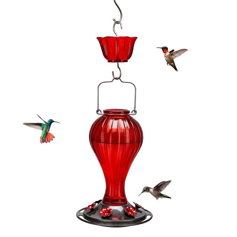 Kingsyard 24oz Leak Proof Glass Hummingbird Feeder with Ant Moat
