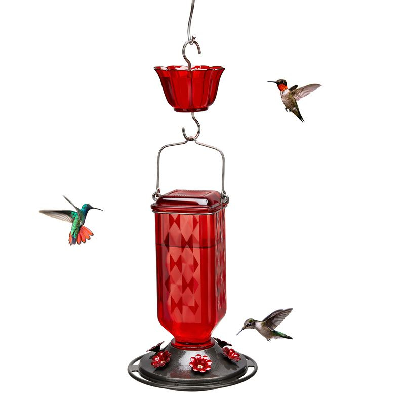 Kingsyard 24oz Leak Proof Glass Hummingbird Feeder with Ant Moat