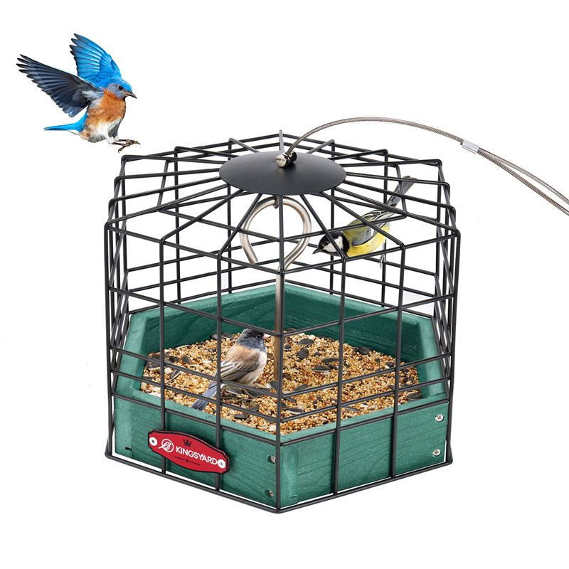 Kingsyard Squirrel-Proof Platform Hanging Bird Feeder