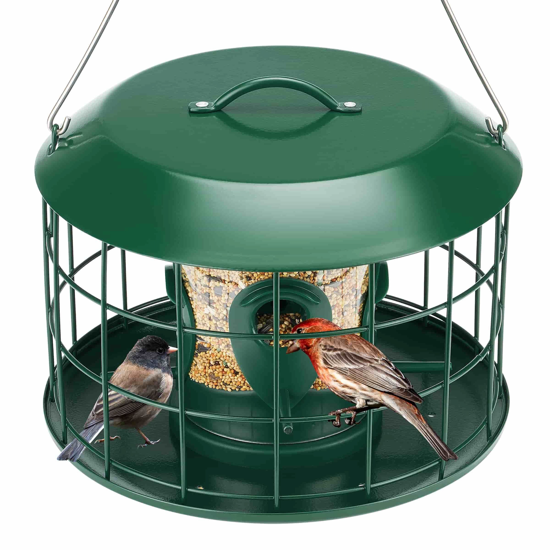 Kingsyard Squirrel Proof Caged Tube Bird Feeder