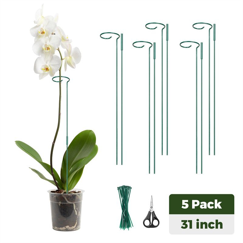 Kingsyard Metal Plant Support Stakes