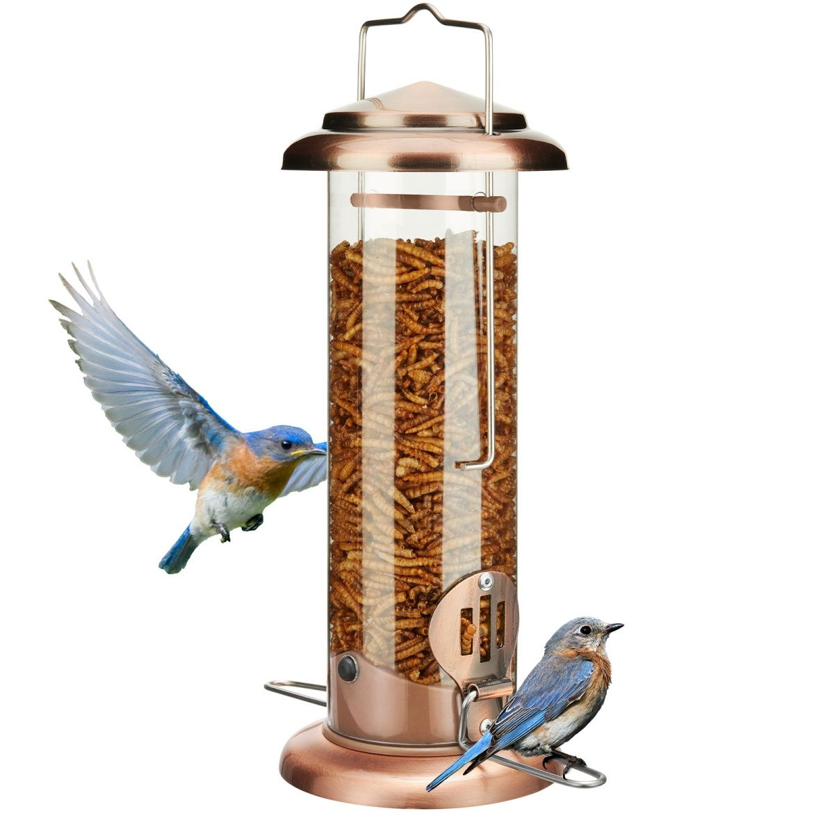 Kingsyard Extra Sturdy Tube Bluebird Mealworm Feeder