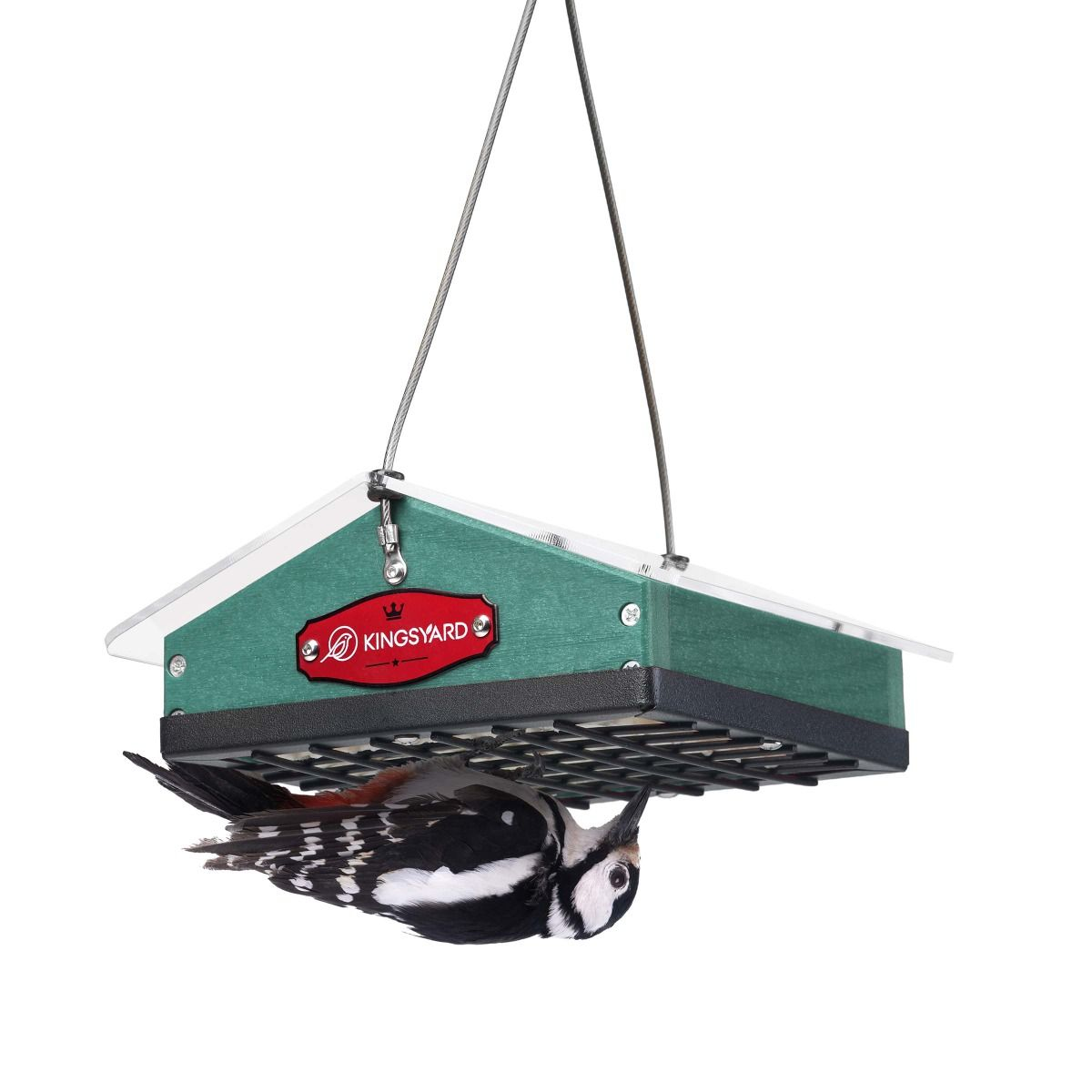 Kingsyard Upside Down Squirrel Proof Suet Feeder