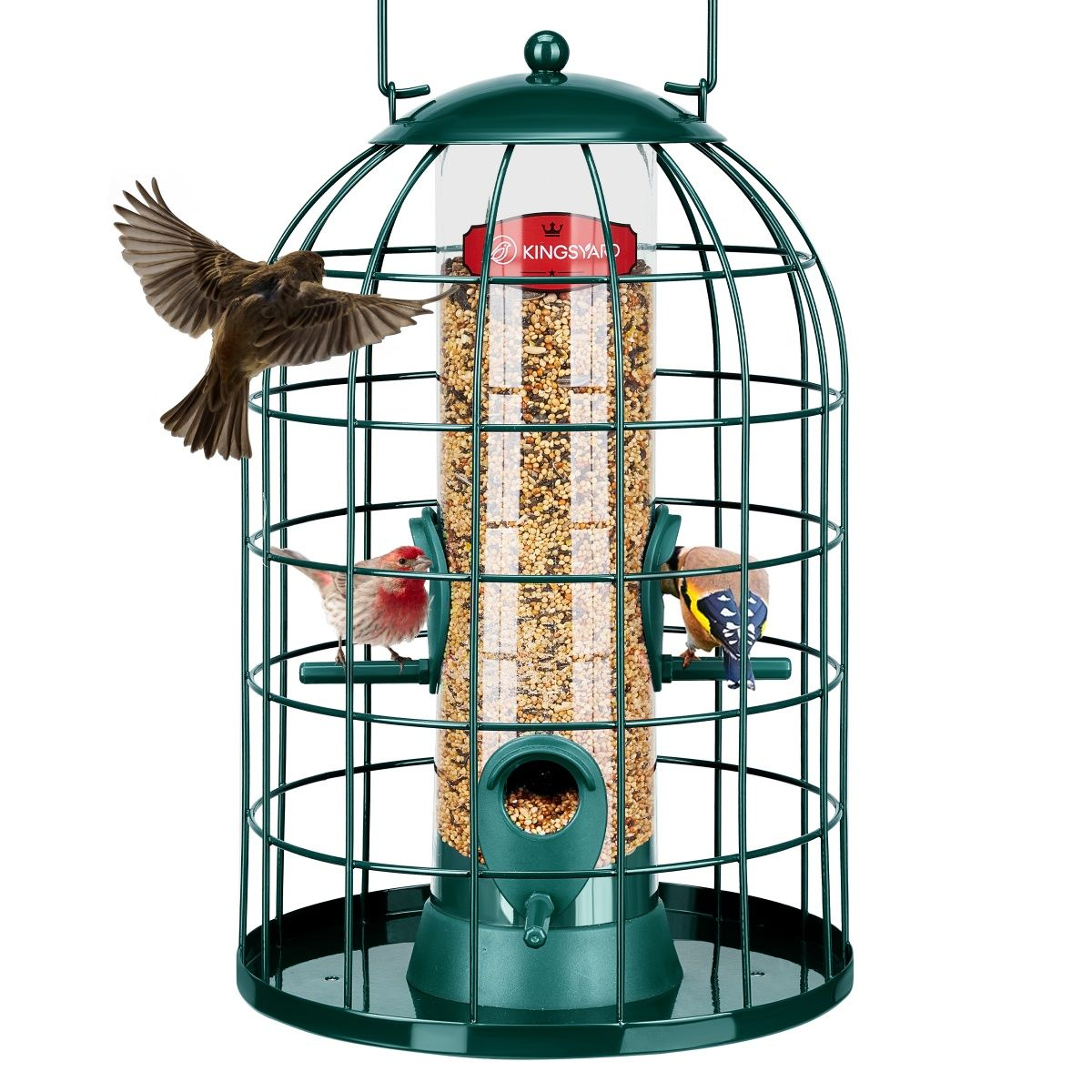 Kingsyard Caged Squirrel Proof Tube Feeder with Rainproof Design
