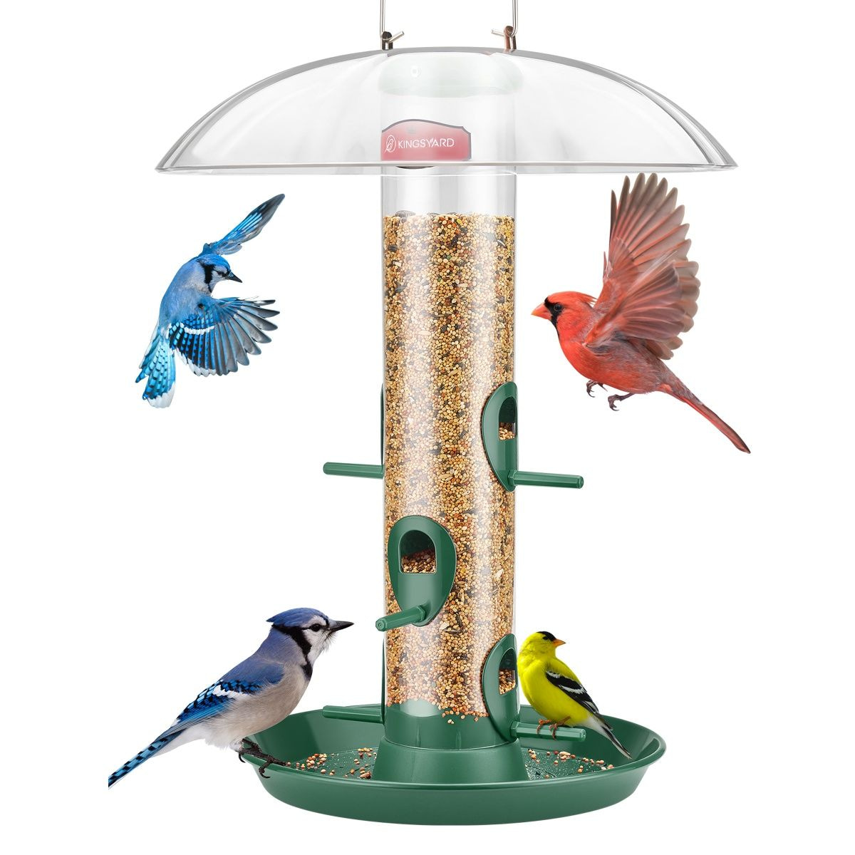 Kingsyard Weatherproof Metal Tube Feeder with Dome