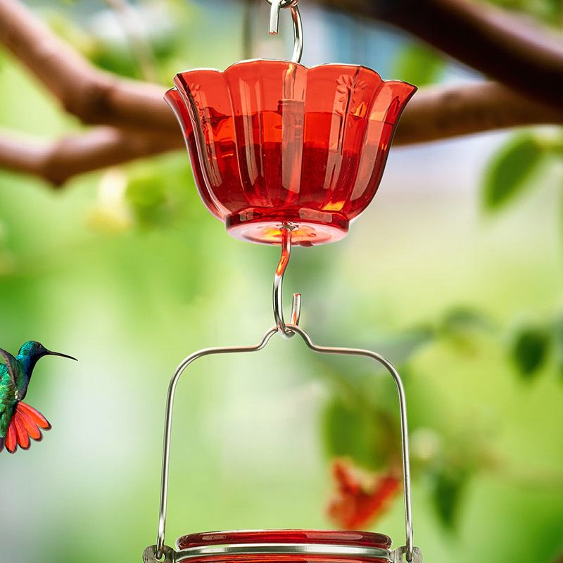 Kingsyard 2-Pack Ant Moat for Hummingbird Feeders