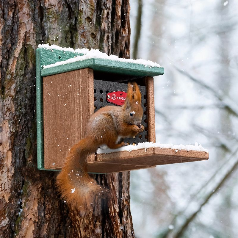 Kingsyard Recycled Plastic Squirrel Feeder
