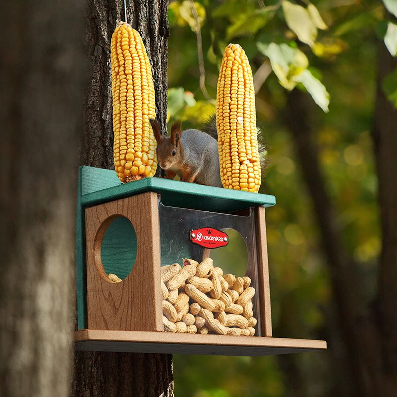 Kingsyard Recycled Plastic Squirrel Feeder Box