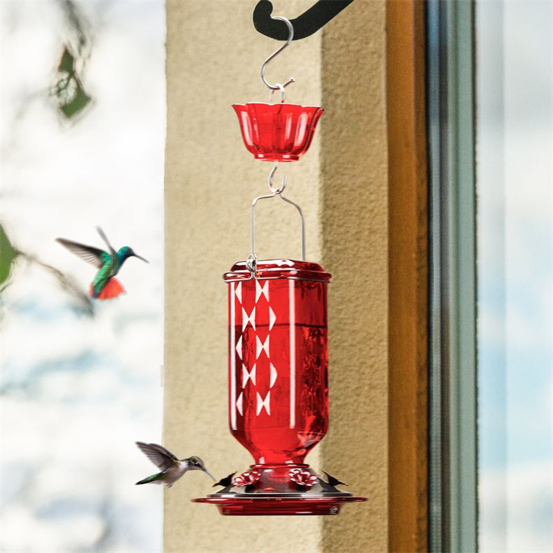 Kingsyard 24oz Leak Proof Glass Hummingbird Feeder with Ant Moat