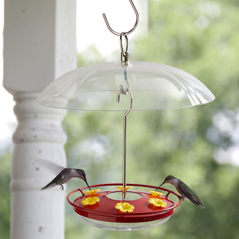 Kingsyard 12oz Tray Hummingbird Feeder with Weatherproof Dome & Ant Moat