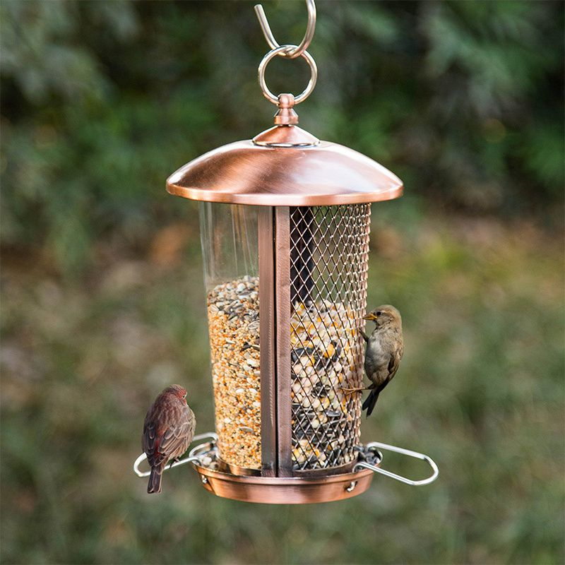 Kingsyard 2 in 1 Hopper Bird Feeder