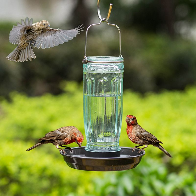 Kingsyard Glass Bird Waterer for Outdoor Use