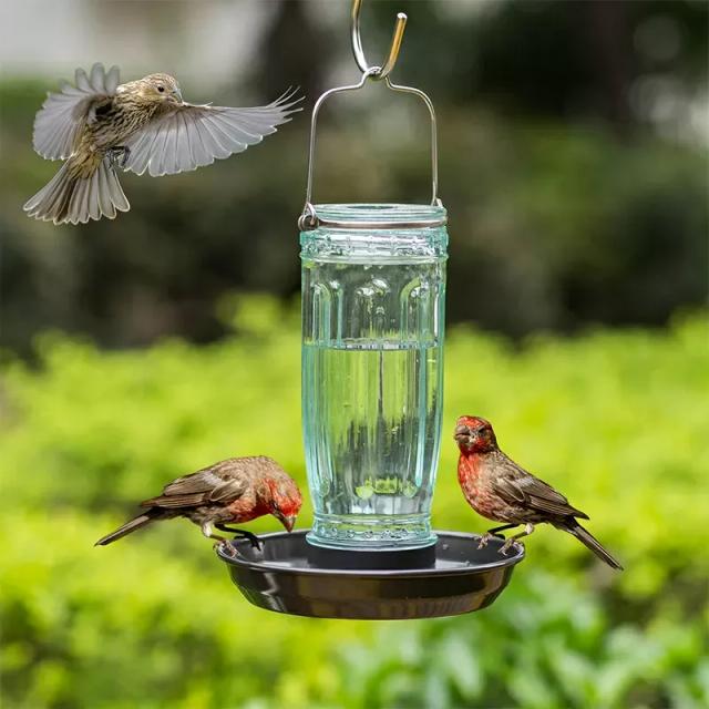 Kingsyard 16oz Glass Bird Waterer for Outdoor Use