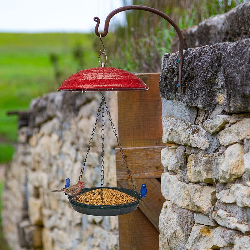 Kingsyard Metal Weather Protective Dome