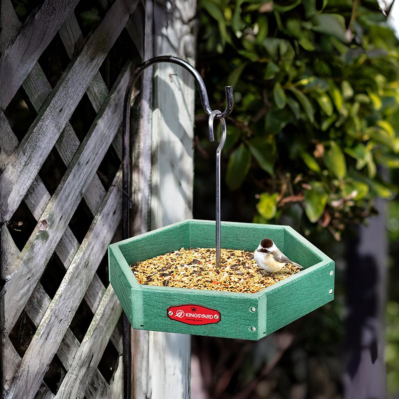 Kingsyard Recycled Plastic Platform Bird Feeder
