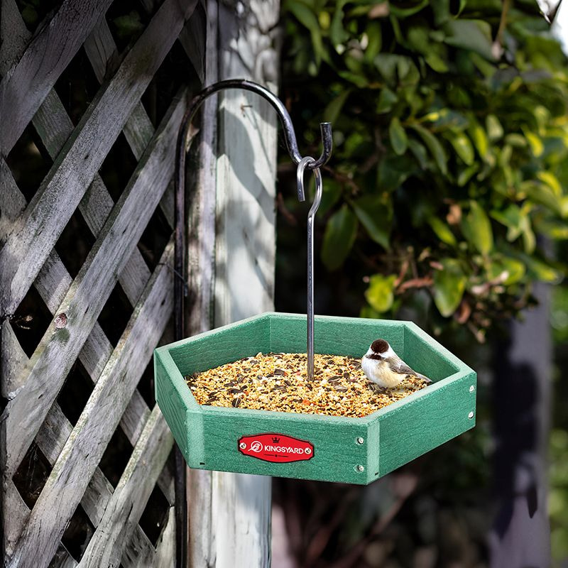 Kingsyard Recycled Plastic Platform Bird Feeder