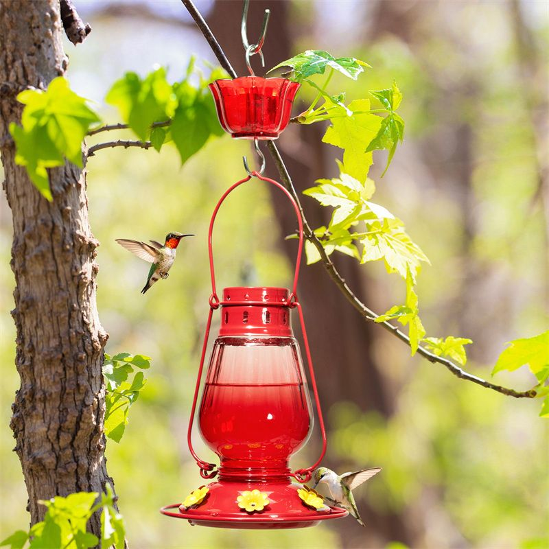 Kingsyard Lamp-shaped Glass Hummingbird Feeder