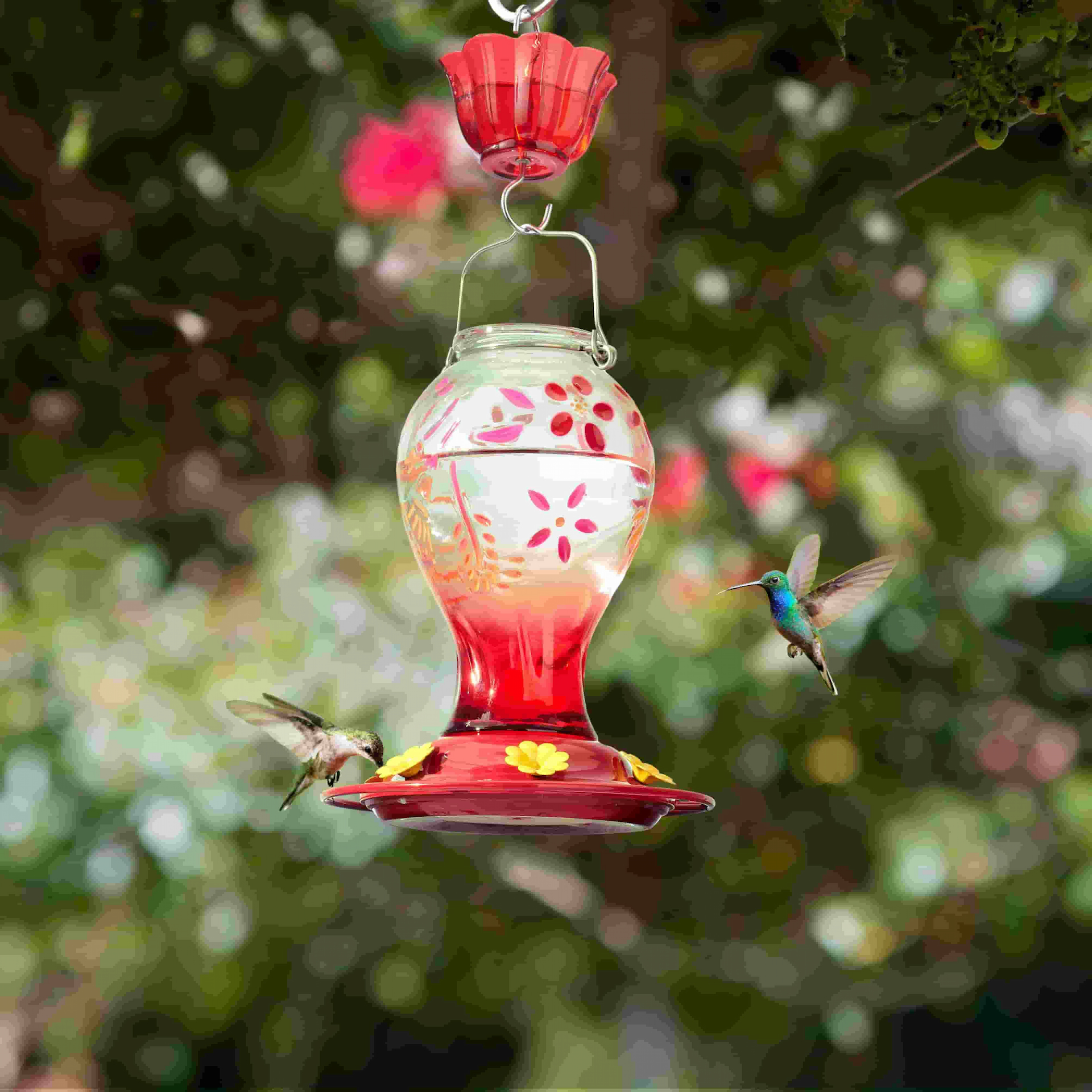 Kingsyard 26oz Leak Proof Glass Hummingbird Feeders with Ant Moat
