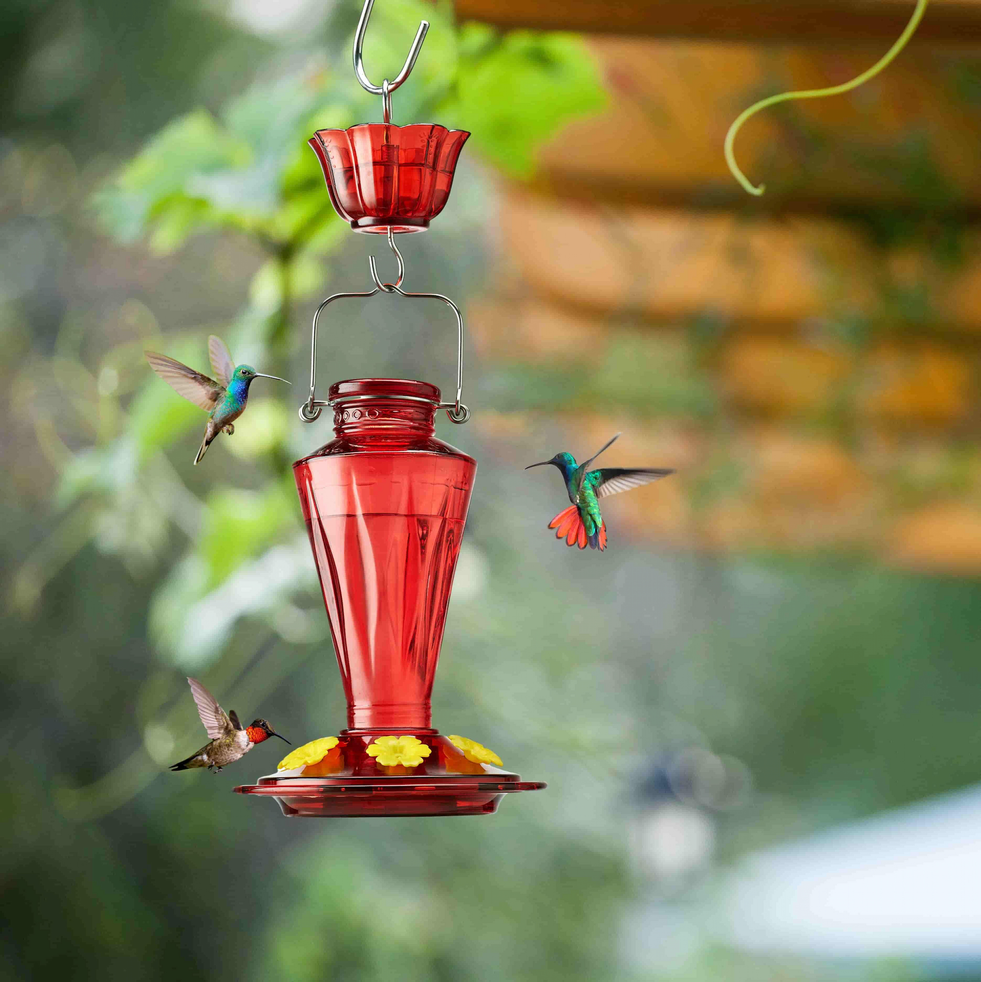 Kingsyard 16oz Glass Hummingbird Feeder with Ant & Bee Proof