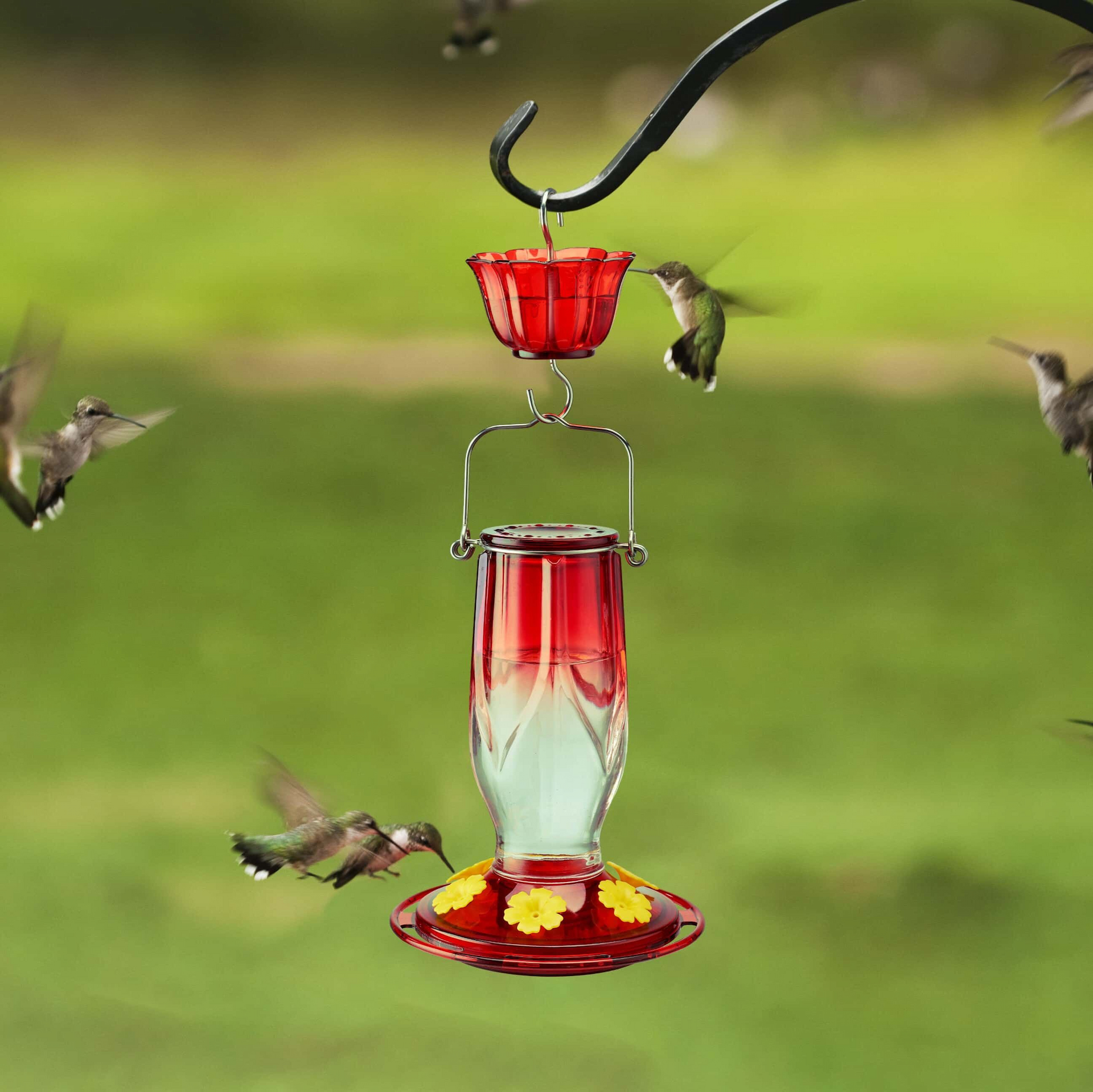 Kingsyard 16oz Glass Hummingbird Feeder 6 Ports with Ant Moat