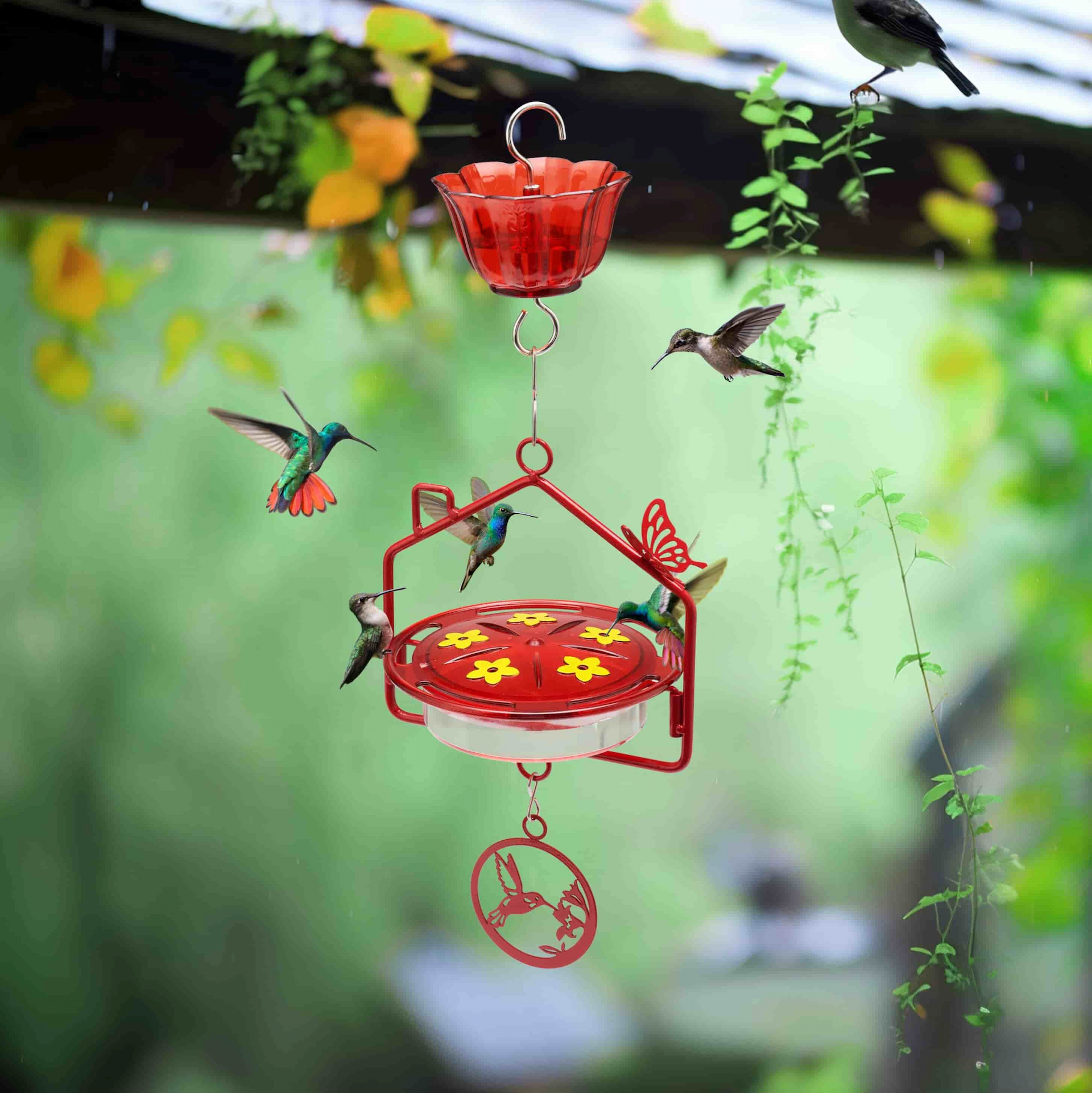 Kingsyard House Shape Tray Hummingbird Feeder with Ant Moat