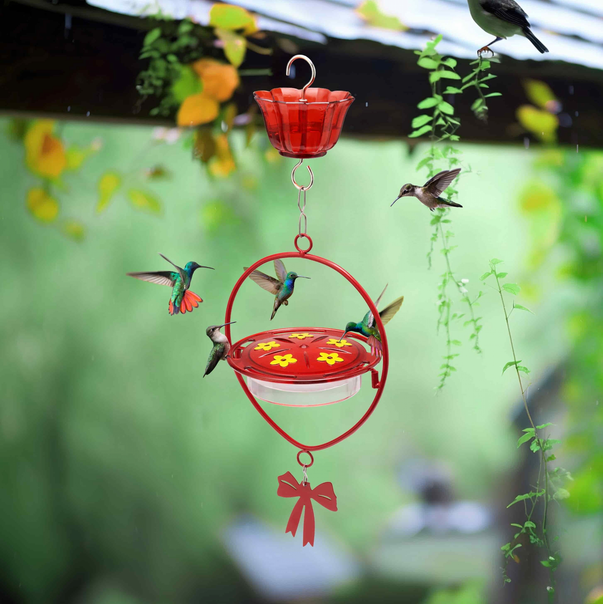 Kingsyard Oval Shape Tray Hummingbird Feeder with Ant Moat