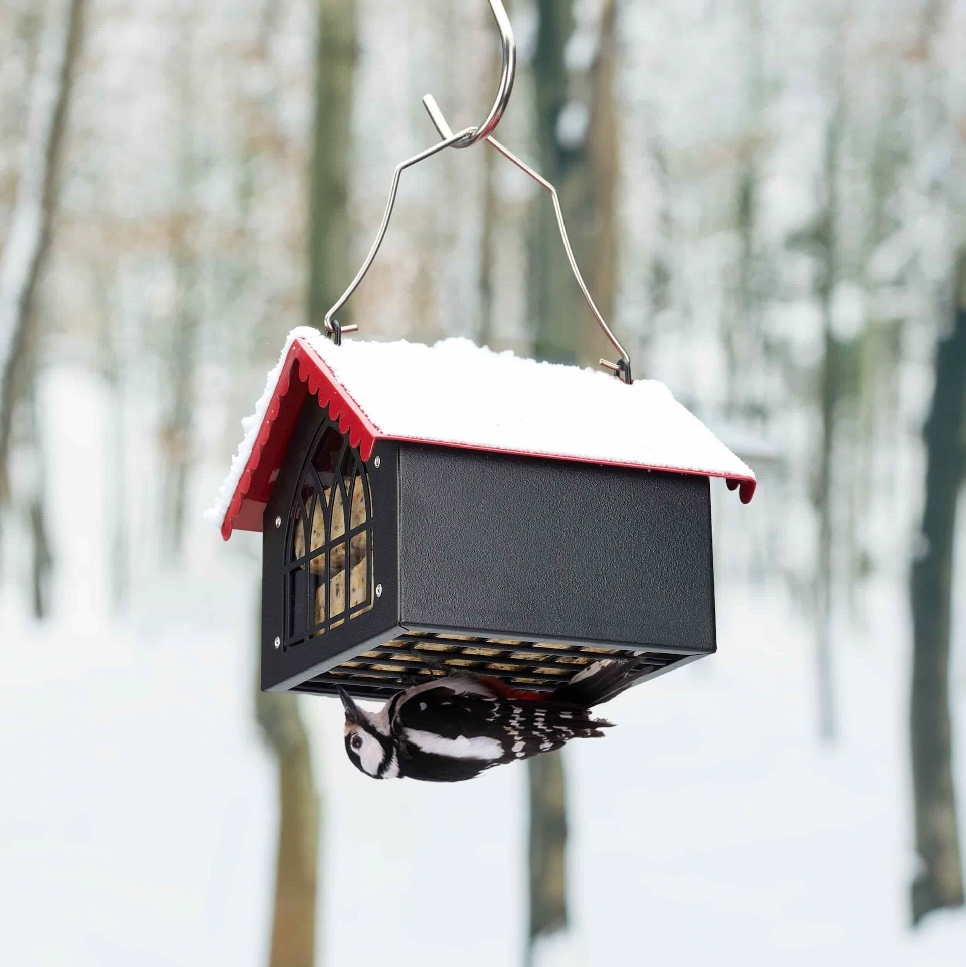 Kingsyard Metal Upside Down Double Suet Bird Feeder