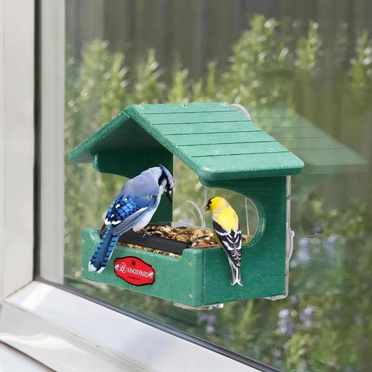 Kingsyard Window Bird Feeder House for Outside Hanging