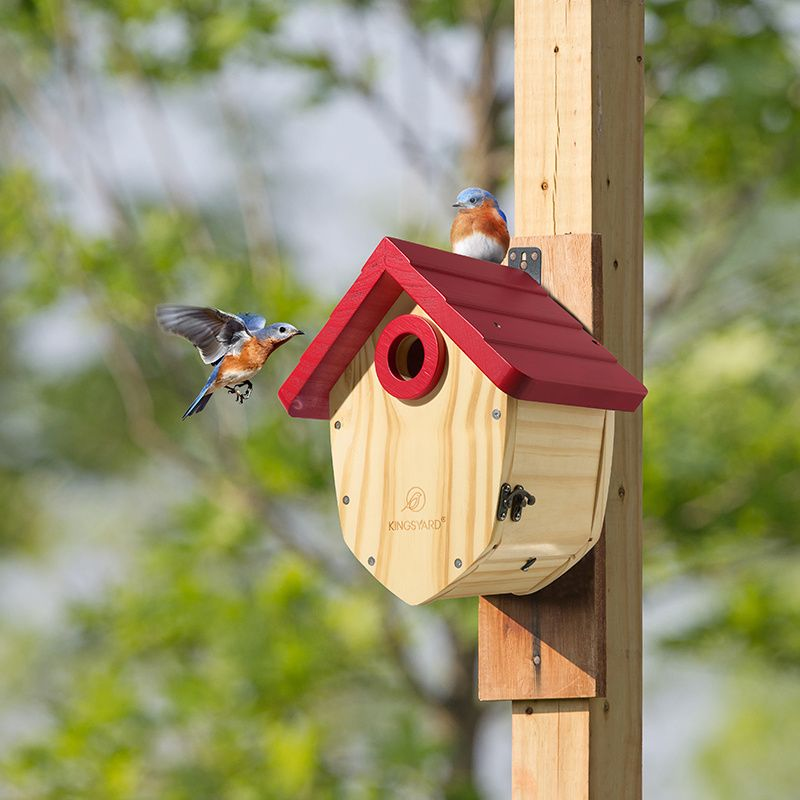 Kingsyard Decorative BlueBird House with 1.5'' Hole