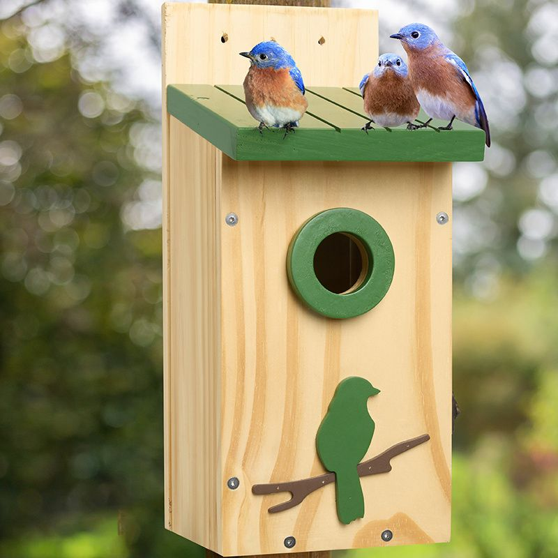 Kingsyard Wooden Bluebird House with 1.5'' Hole and Bird Pattern