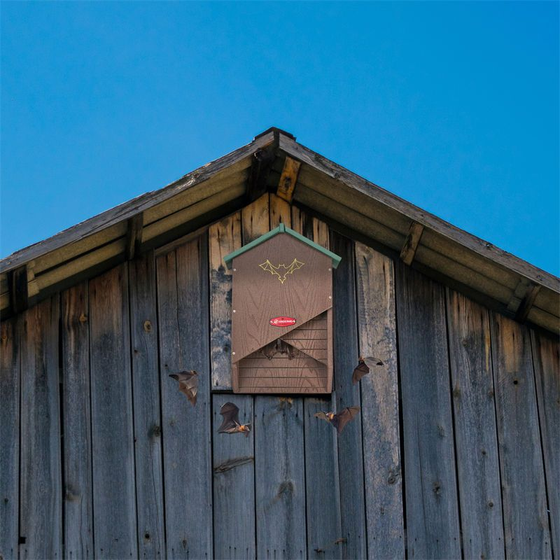Kingsyard X-shaped Bat House